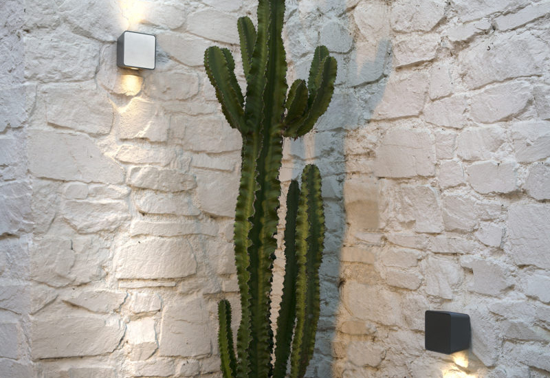 Marset-Lampara-Lab-Cactus-801×1200